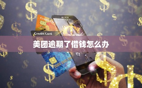 美团逾期了借钱怎么办