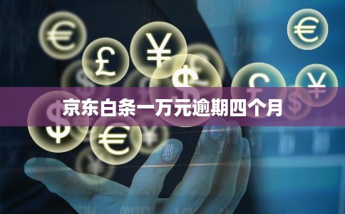 京东白条一万元逾期四个月