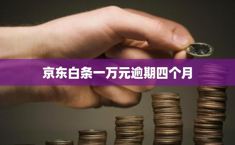 京东白条一万元逾期四个月