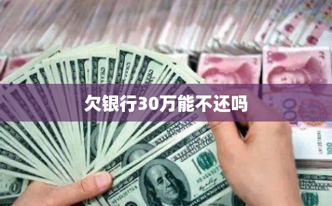 欠银行30万能不还吗