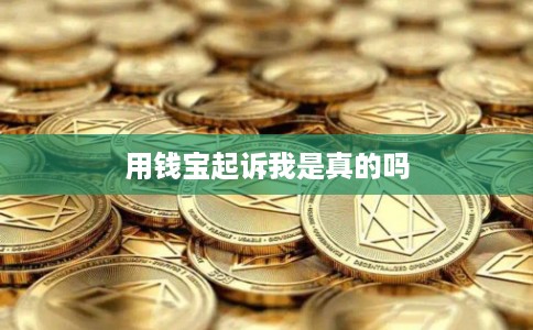 用钱宝起诉我是真的吗