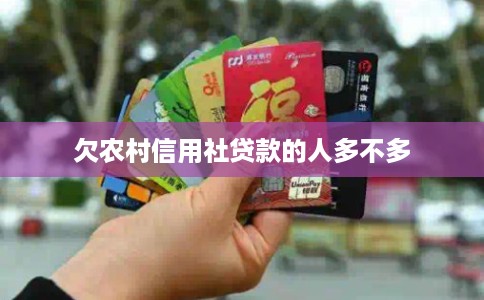 欠农村信用社贷款的人多不多