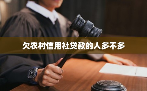 欠农村信用社贷款的人多不多