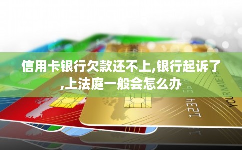 信用卡银行欠款还不上,银行起诉了,上法庭一般会怎么办