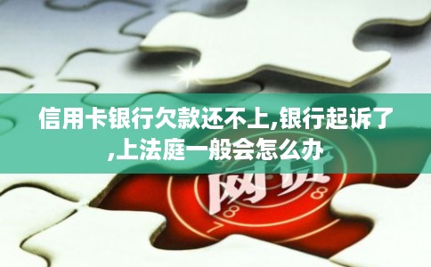 信用卡银行欠款还不上,银行起诉了,上法庭一般会怎么办