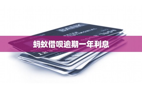 蚂蚁借呗逾期一年利息