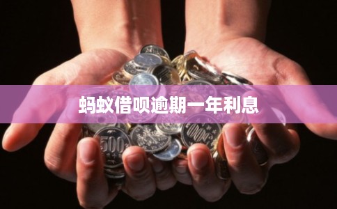 蚂蚁借呗逾期一年利息