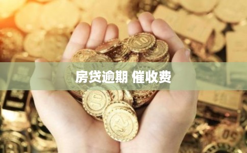 房贷逾期 催收费