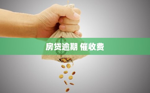 房贷逾期 催收费