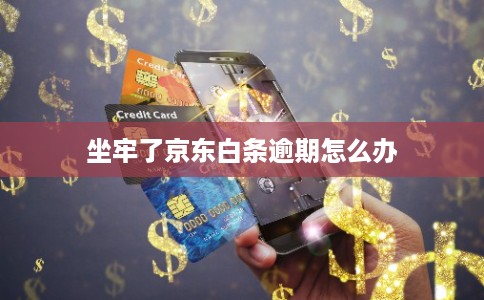 坐牢了京东白条逾期怎么办