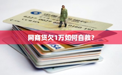 网商贷欠1万如何自救？