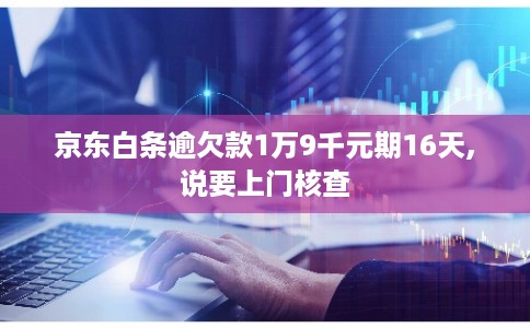 京东白条逾欠款1万9千元期16天,说要上门核查
