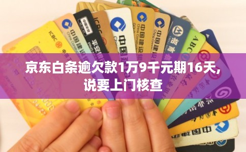 京东白条逾欠款1万9千元期16天,说要上门核查