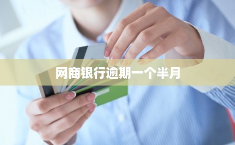 网商银行逾期一个半月