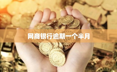 网商银行逾期一个半月