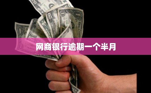网商银行逾期一个半月