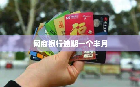 网商银行逾期一个半月