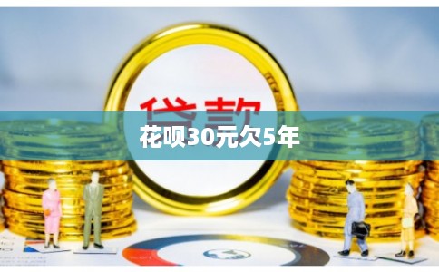 花呗30元欠5年