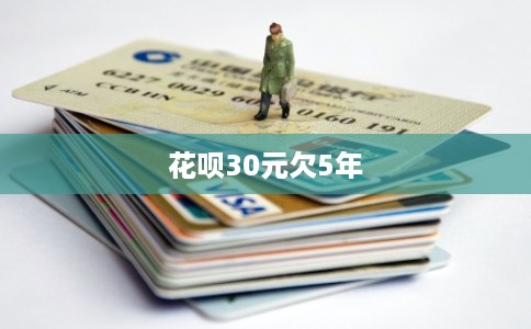 花呗30元欠5年