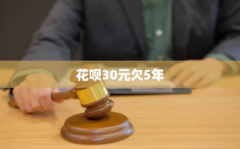 花呗30元欠5年