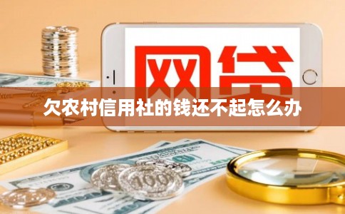 欠农村信用社的钱还不起怎么办