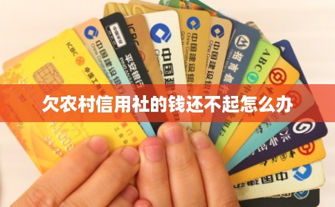 欠农村信用社的钱还不起怎么办