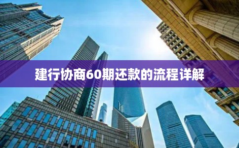 建行协商60期还款的流程详解