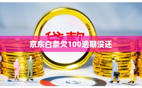 京东白条欠100逾期没还