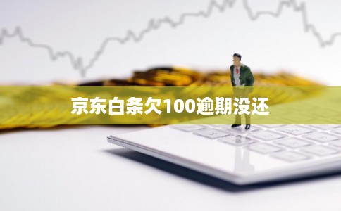京东白条欠100逾期没还
