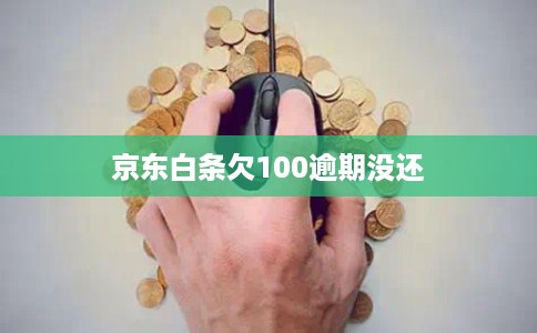 京东白条欠100逾期没还