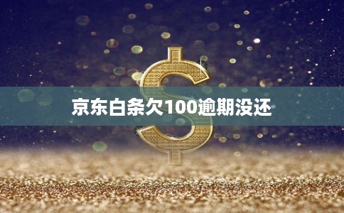 京东白条欠100逾期没还