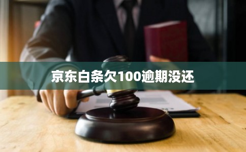 京东白条欠100逾期没还
