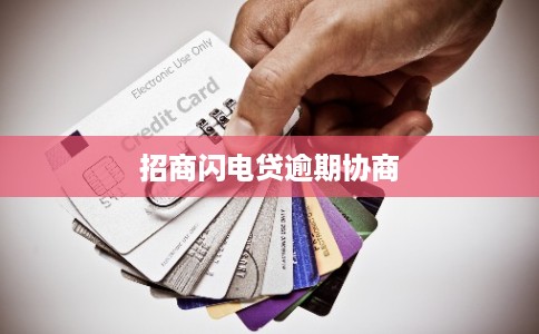 招商闪电贷逾期协商