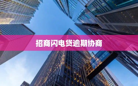招商闪电贷逾期协商
