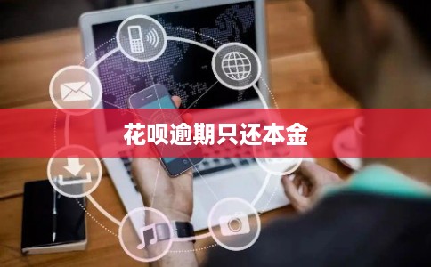 花呗逾期只还本金