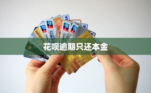 花呗逾期只还本金
