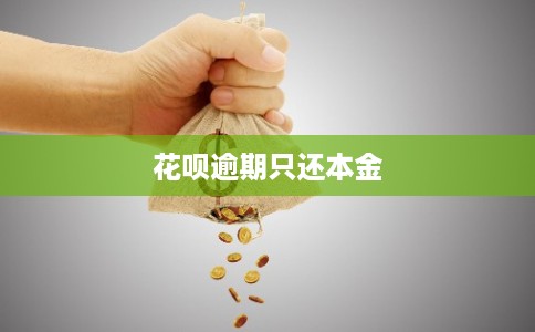 花呗逾期只还本金