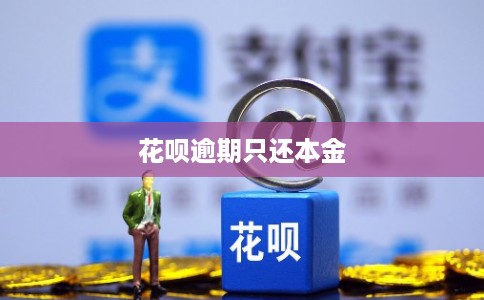 花呗逾期只还本金