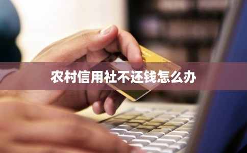 农村信用社不还钱怎么办
