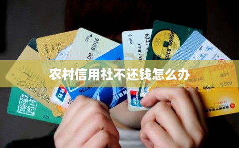 农村信用社不还钱怎么办