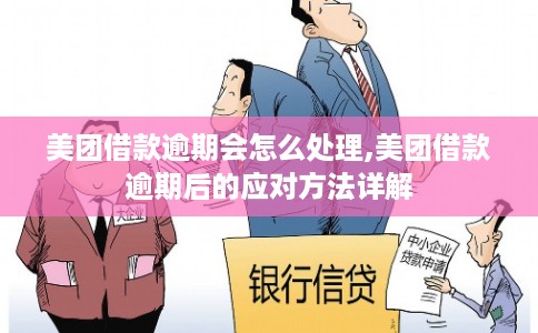 美团借款逾期会怎么处理,美团借款逾期后的应对方法详解