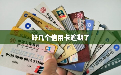 好几个信用卡逾期了