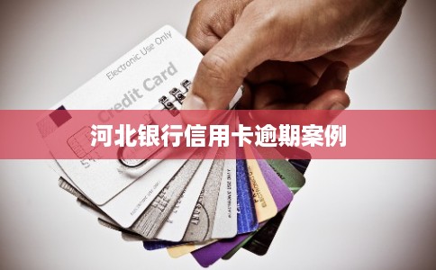 河北银行信用卡逾期案例