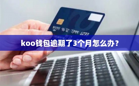 koo钱包逾期了3个月怎么办？