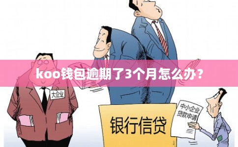 koo钱包逾期了3个月怎么办？