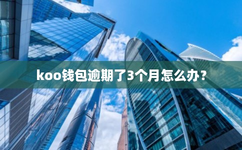 koo钱包逾期了3个月怎么办？