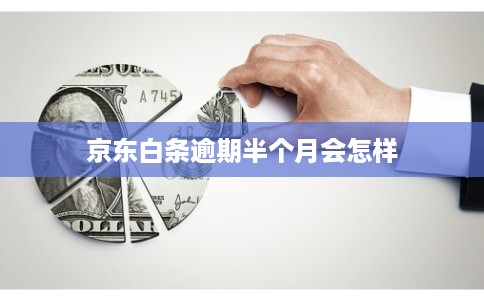 京东白条逾期半个月会怎样