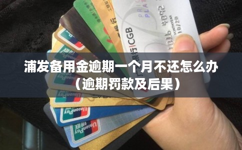 浦发备用金逾期一个月不还怎么办（逾期罚款及后果）