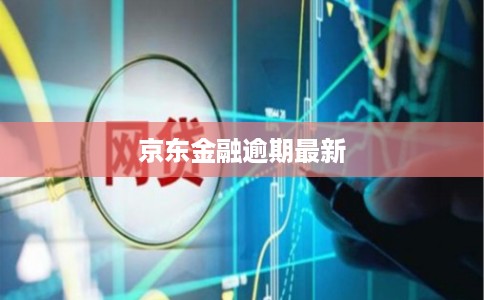 京东金融逾期最新