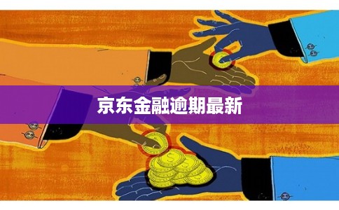 京东金融逾期最新